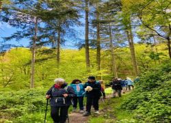 PHOTO-2024-04-29-11-13-27_1