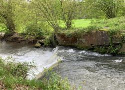 PHOTO-2024-04-29-11-13-28_3