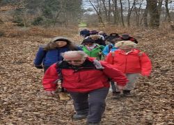 PHOTO-2024-03-11-20-23-12 PHOTO-2024-03-11-20-23-12