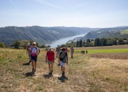 TS_Mittelrhein_2024-08-11_-___0037_2048x1365