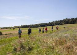 TS_Mittelrhein_2024-08-11_-___0056_2048x1365