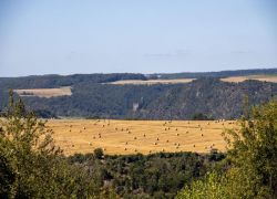 TS_Mittelrhein_2024-08-11_-___0083_2048x1365