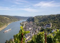 TS_Mittelrhein_2024-08-11_-___0116_2048x1365