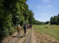 Düngenheim-Treis-Karden_2