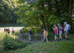 Düngenheim-Treis-Karden_2025-06-29_-_0061_3240x2160