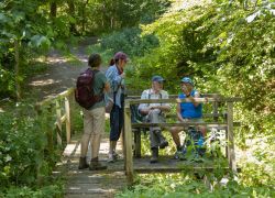 Düngenheim-Treis-Karden_2025-06-29_-_0065_3240x2160