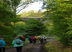 PHOTO-2025-10-05-07-50-373 PHOTO-2025-10-05-07-50-373