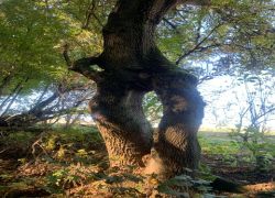 PHOTO-2025-10-05-07-50-381 PHOTO-2025-10-05-07-50-381