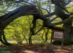 PHOTO-2025-10-05-07-50-382 PHOTO-2025-10-05-07-50-382