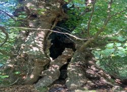 PHOTO-2025-10-05-07-50-383 PHOTO-2025-10-05-07-50-383