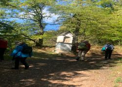 PHOTO-2025-10-05-07-50-384 PHOTO-2025-10-05-07-50-384