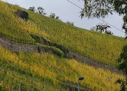 PHOTO-2025-10-17-13-54-47 PHOTO-2025-10-17-13-54-47