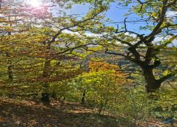 PHOTO-2025-10-25-12-59-321 PHOTO-2025-10-25-12-59-321