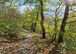 PHOTO-2025-10-25-12-59-322 PHOTO-2025-10-25-12-59-322