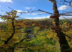 PHOTO-2025-10-25-12-59-323 PHOTO-2025-10-25-12-59-323