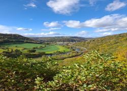 PHOTO-2025-10-25-12-59-361 PHOTO-2025-10-25-12-59-361