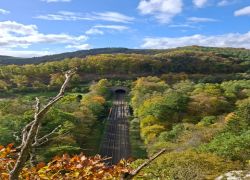 PHOTO-2025-10-25-12-59-363 PHOTO-2025-10-25-12-59-363