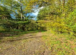 PHOTO-2025-10-25-12-59-364 PHOTO-2025-10-25-12-59-364