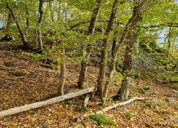 PHOTO-2025-10-25-12-59-42 PHOTO-2025-10-25-12-59-42