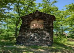 4433326c-ddb3-4854-824a-e67091132281