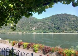 PHOTO-2025-08-20-14-24-111 PHOTO-2025-08-20-14-24-111