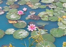 PHOTO-2025-08-20-14-24-116 PHOTO-2025-08-20-14-24-116