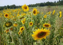 PHOTO-2025-08-20-14-24-117 PHOTO-2025-08-20-14-24-117