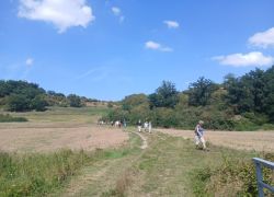 PHOTO-2025-08-26-14-27-091 PHOTO-2025-08-26-14-27-091