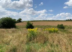 PHOTO-2025-08-26-14-27-093 PHOTO-2025-08-26-14-27-093