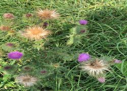 PHOTO-2025-08-26-14-27-10 PHOTO-2025-08-26-14-27-10