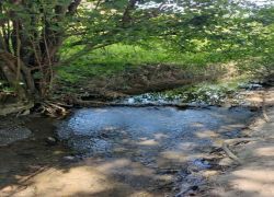 PHOTO-2025-08-26-14-27-102 PHOTO-2025-08-26-14-27-102