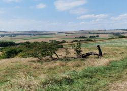 PHOTO-2025-08-26-14-27-104 PHOTO-2025-08-26-14-27-104