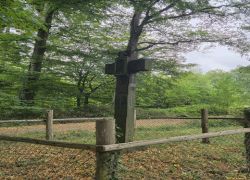 PHOTO-2025-09-06-09-00-262 PHOTO-2025-09-06-09-00-262