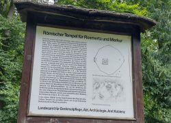 PHOTO-2025-09-06-09-00-264 PHOTO-2025-09-06-09-00-264