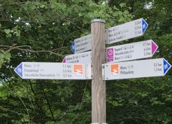 PHOTO-2025-09-06-09-00-27 PHOTO-2025-09-06-09-00-27