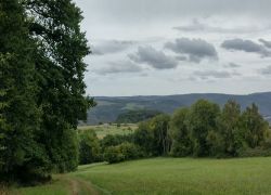 PHOTO-2025-09-06-09-00-274 PHOTO-2025-09-06-09-00-274