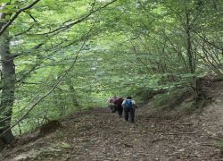 PHOTO-2025-09-06-09-00-277 PHOTO-2025-09-06-09-00-277