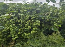 PHOTO-2025-09-14-23-16-45 PHOTO-2025-09-14-23-16-45