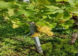 PHOTO-2025-09-14-23-16-451 PHOTO-2025-09-14-23-16-451