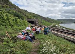 PHOTO-2025-09-14-23-16-454 PHOTO-2025-09-14-23-16-454