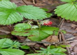 PHOTO-2025-09-14-23-16-455 PHOTO-2025-09-14-23-16-455