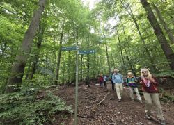 PHOTO-2025-09-14-23-16-456 PHOTO-2025-09-14-23-16-456