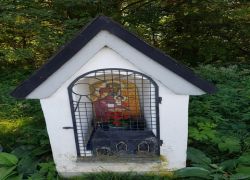 PHOTO-2025-09-20-16-48-023 PHOTO-2025-09-20-16-48-023