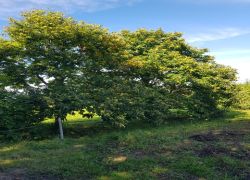 PHOTO-2025-09-20-16-48-024 PHOTO-2025-09-20-16-48-024