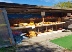 PHOTO-2025-09-20-16-48-025 PHOTO-2025-09-20-16-48-025