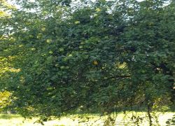 PHOTO-2025-09-20-16-48-031 PHOTO-2025-09-20-16-48-031