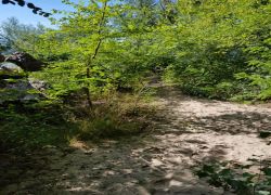 PHOTO-2025-09-20-16-48-032 PHOTO-2025-09-20-16-48-032