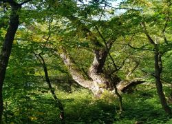 PHOTO-2025-09-20-16-48-033 PHOTO-2025-09-20-16-48-033