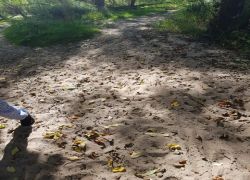 PHOTO-2025-09-20-16-48-034 PHOTO-2025-09-20-16-48-034