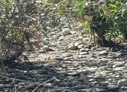 PHOTO-2025-09-20-16-48-036 PHOTO-2025-09-20-16-48-036